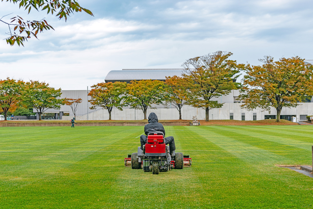 Crew member on a riding mower maintaining a large, healthy lawn with trees and a modern building in the background